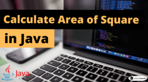 Write a Java Program to Calculate the Area of Square - StackHowTo