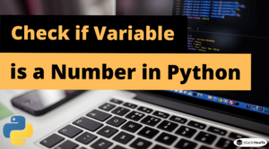 Python - Check if Variable is a Number - StackHowTo