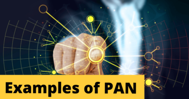 Examples of PAN