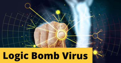Logic Bomb Virus