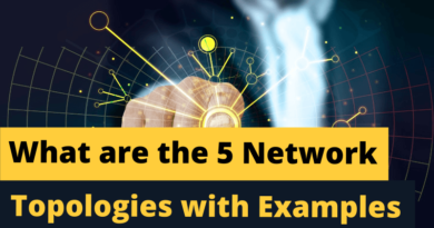What are the 5 Network Topologies with Examples