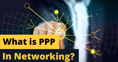 What is PPP in Networking