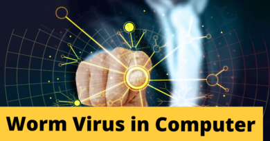 Worm Virus in Computer